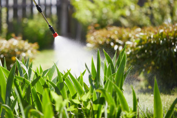 24/7 Emergency Mosquito Control experts in Mulberry, FL