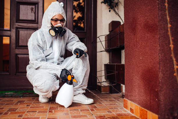 Reliable Mosquito Control contractor in Mulberry, FL by Show Me Pest Control